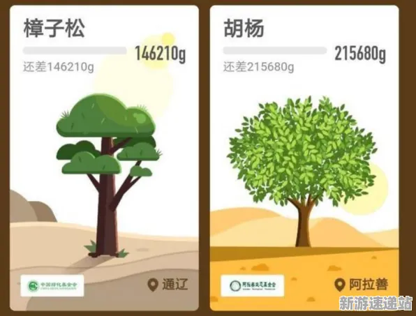2025版本更新»蚂蚁森林丨平衡性调整，优化方案揭秘