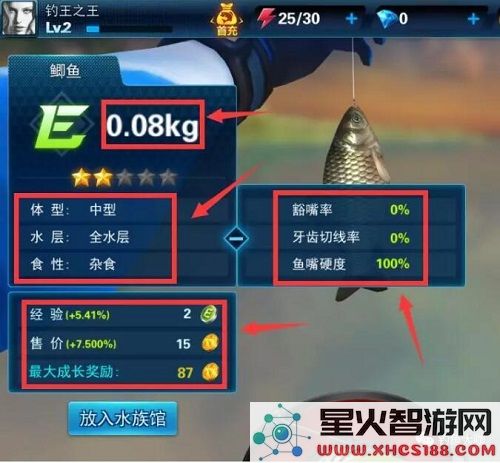 钓鱼大咖钓鱼方法