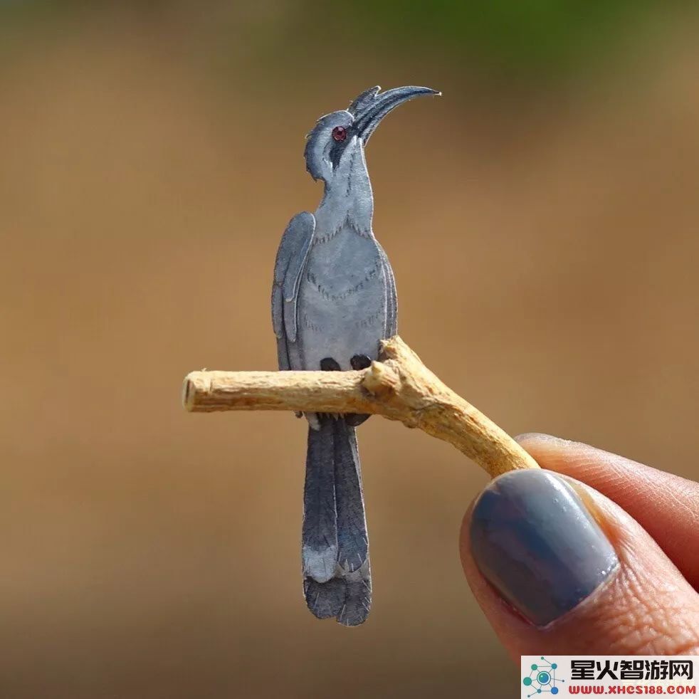 原神蓝色的鸟是什么
