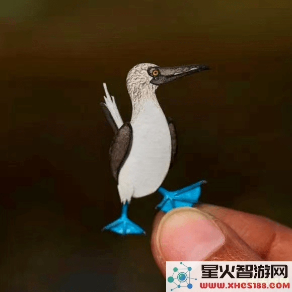 原神蓝色的鸟是什么