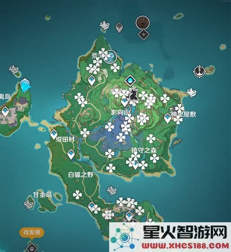 原神绯樱绣球采集路线位置