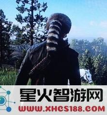 荒野大镖客2稀有浣熊帽如何获得