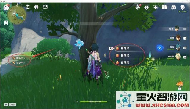 原神中苹果分布