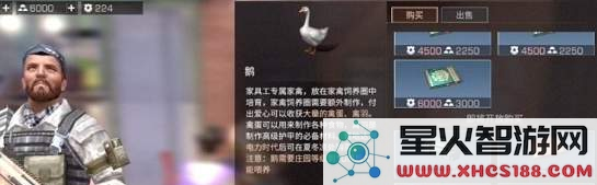 明日之后鹅获得方法介绍_52z.com