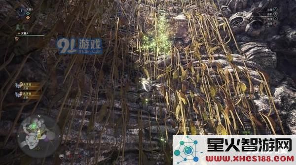 怪物猎人世界