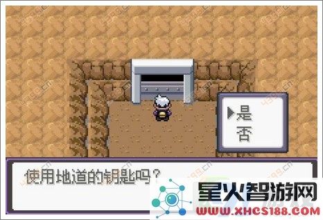 口袋妖怪漆黑的魅影
