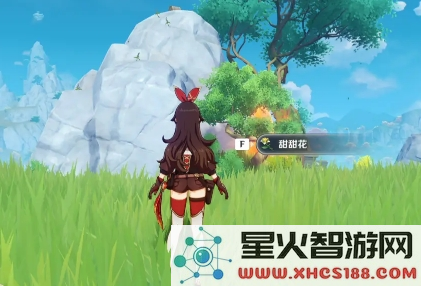 原神琉璃袋哪里有卖