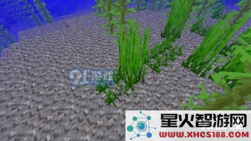我的世界海草