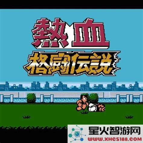热血格斗金人密码详解与技巧分享解析秘诀与实用攻略