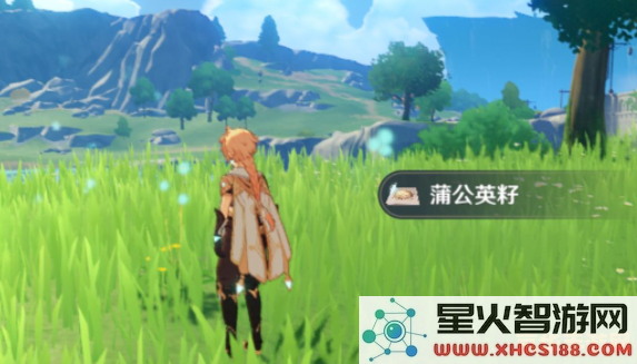 哪里有卖蒲公英籽原神