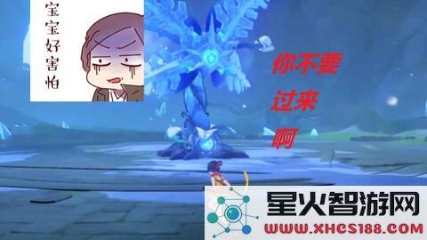 原神急冻树在哪有