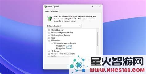 电脑启动项usb选项