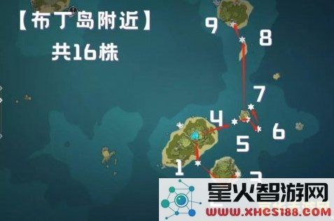 原神海灵芝采集路线图最新2023