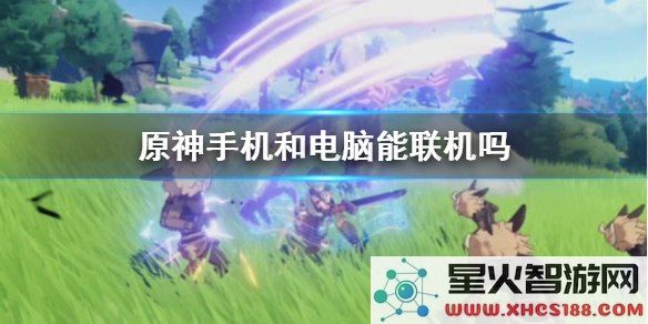 原神pc端跟手机端数据互通吗