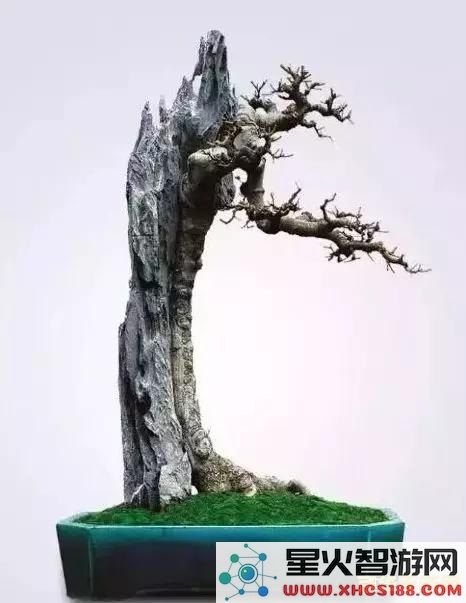 原神盆景破碎的空间
