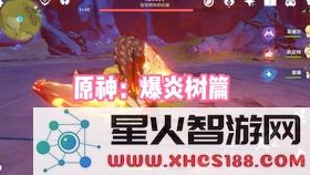 原神40级以上爆炎树在哪里