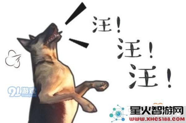 明日之后狗狗有哪几种性格 狗狗的13种性格介绍一览