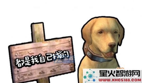 明日之后狗狗有哪几种性格 狗狗的13种性格介绍一览