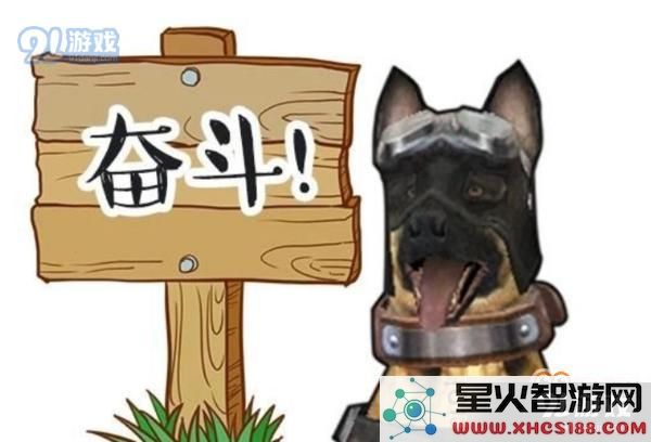 明日之后狗狗有哪几种性格 狗狗的13种性格介绍一览