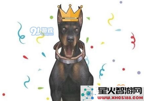明日之后狗狗有哪几种性格 狗狗的13种性格介绍一览