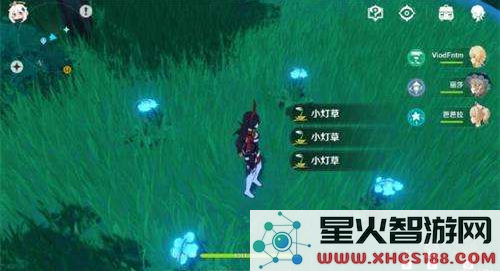 原神哪里有卖小灯草