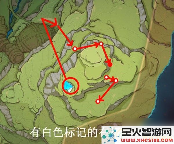 原神须弥树王圣体菇位置