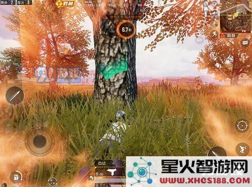 和平精英淘汰倒计时什么意思 和平精英淘汰倒计时机制