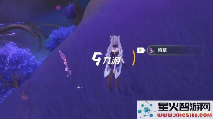 原神里面的鸣草在哪