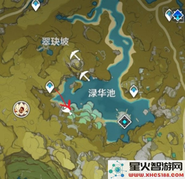 原神哪里的莲蓬最多