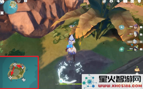 原神的回声海螺在哪里