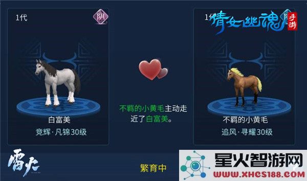 倩女幽魂高品质马教程