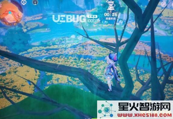 原神马尾在哪采集最多
