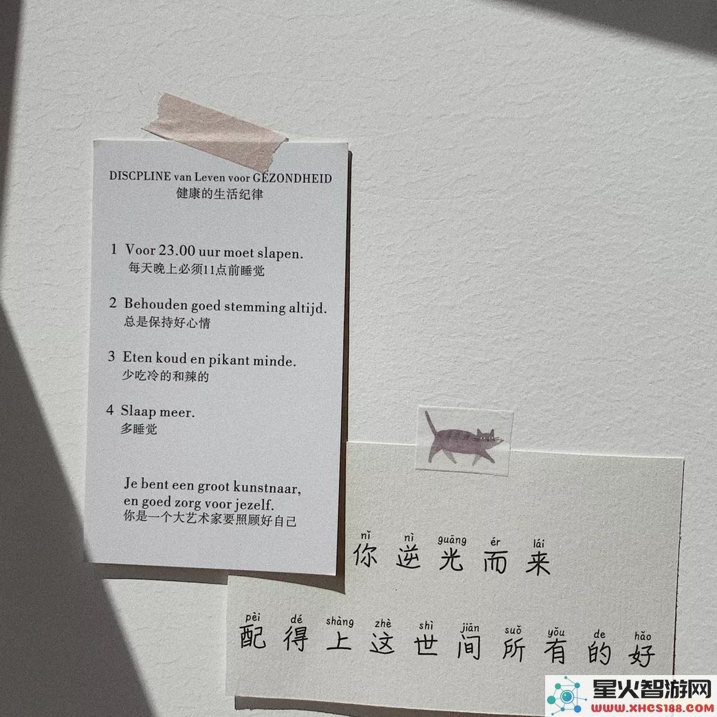 原神透视麻匪壁纸文件