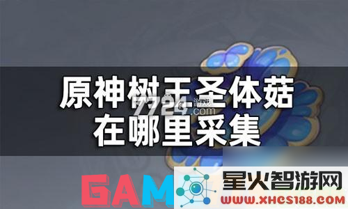 原神树王菇在哪买 原神树王圣体菇购买指南