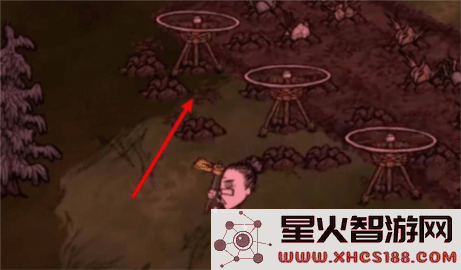 饥困荒野怎么种地