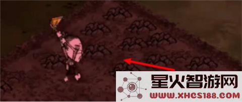 饥困荒野怎么种地