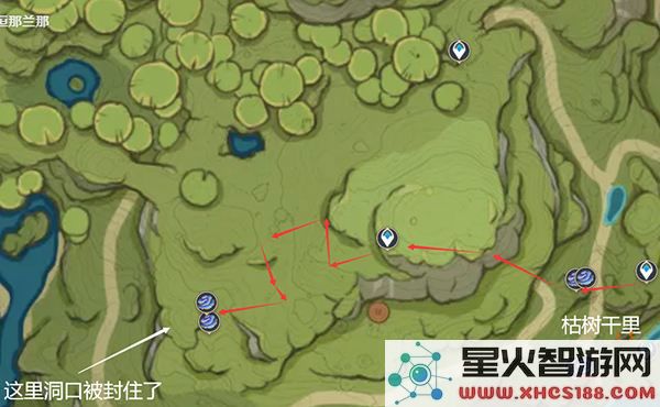 小米端原神树王圣体菇位置