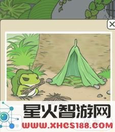 旅行青蛙黑屏怎么回事 旅行青蛙界面黑屏怎么办