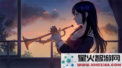 九幺黄9·1安装：如何轻松应对安装过程中的各种挑战？-深入理解九幺黄9·1安装技巧
