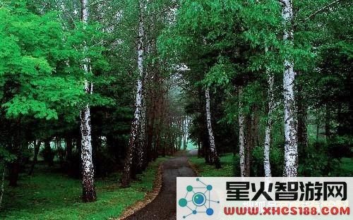 原神森林树苗圃后续 原神森林树苗圃后续：探索与培育的绿色之旅