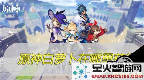 原神在哪有萝卜 原神中萝卜的获取地点分析
