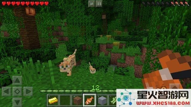 我的世界皮肤原神荧展开图 我的世界皮肤：原神荧的创意融合
