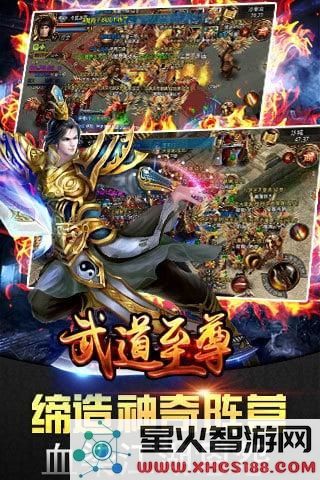 武道至尊