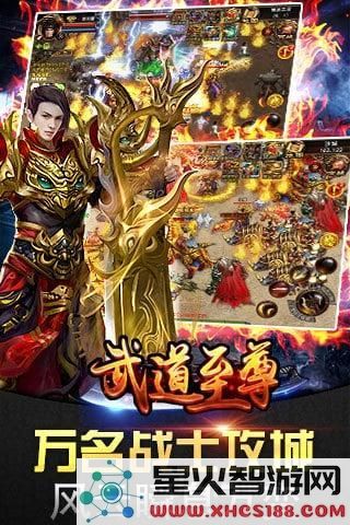 武道至尊
