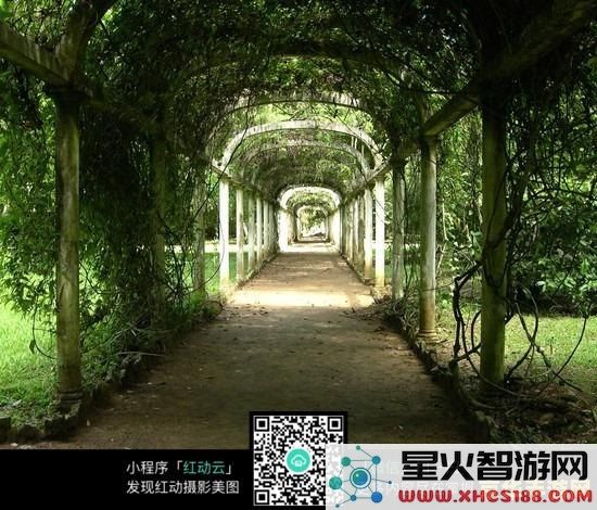 原神庭院深处的走廊 原神：探索庭院深处的走廊